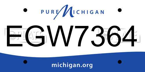 EGW7364 Michigan License Plate
