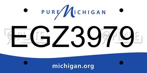 EGZ3979 Michigan License Plate