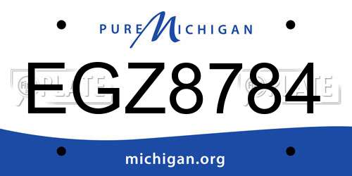 EGZ8784 Michigan License Plate