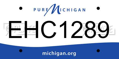 EHC1289 Michigan License Plate