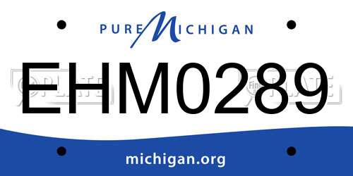 EHM0289 Michigan License Plate