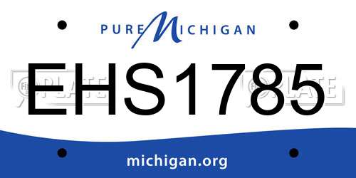 EHS1785 Michigan License Plate