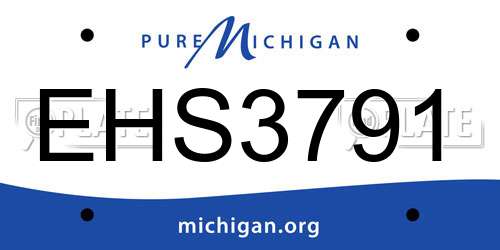 EHS3791 Michigan License Plate
