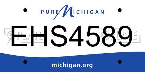 EHS4589 Michigan License Plate