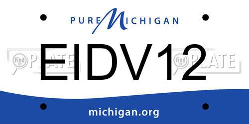 EIDV12 Michigan License Plate