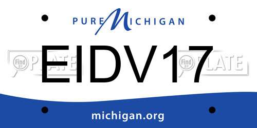 EIDV17 Michigan License Plate