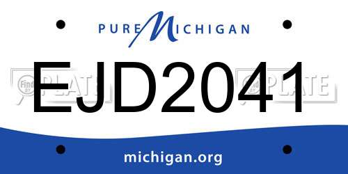 EJD2041 Michigan License Plate