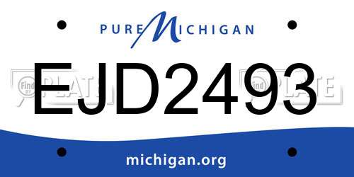 EJD2493 Michigan License Plate