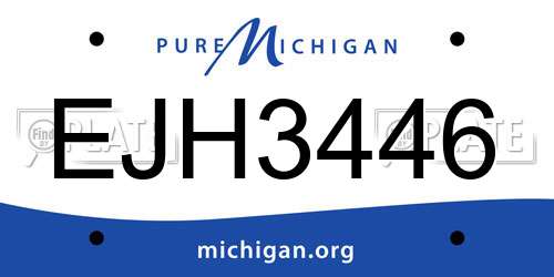 EJH3446 Michigan License Plate