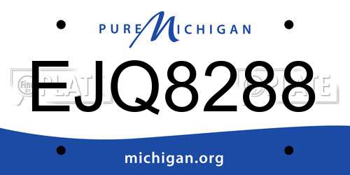 EJQ8288 Michigan License Plate