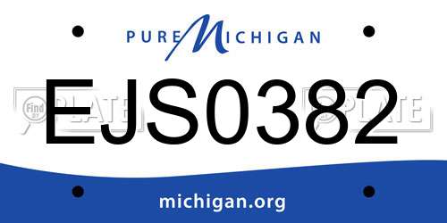 EJS0382 Michigan License Plate