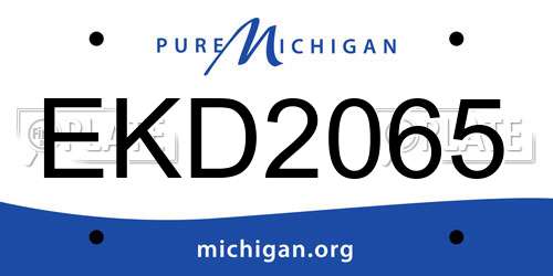 EKD2065 Michigan License Plate