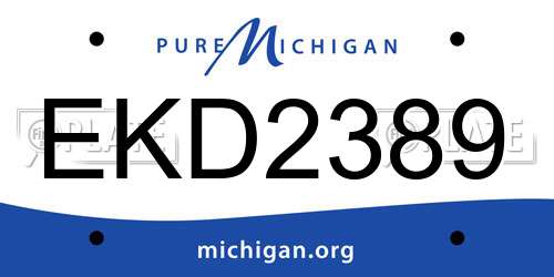 EKD2389 Michigan License Plate