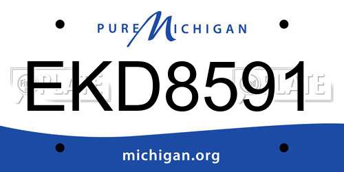 EKD8591 Michigan License Plate