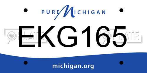 EKG165 Michigan License Plate