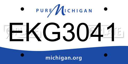 EKG3041 Michigan License Plate