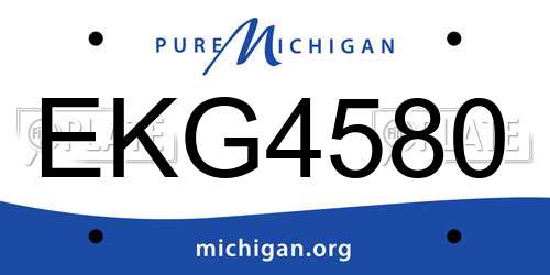 EKG4580 Michigan License Plate