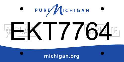 EKT7764 Michigan License Plate
