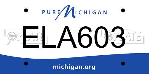 ELA603 Michigan License Plate