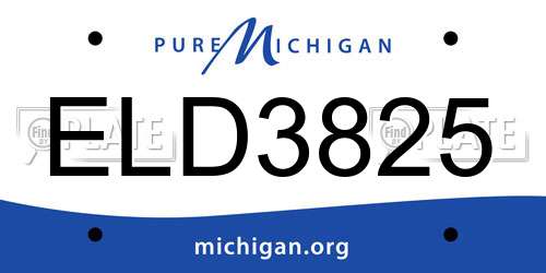 ELD3825 Michigan License Plate