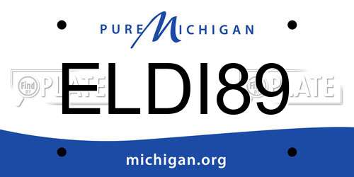 ELDI89 Michigan License Plate