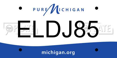 ELDJ85 Michigan License Plate