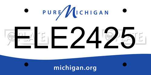 ELE2425 Michigan License Plate