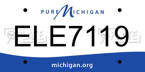 ELE7119 Michigan License Plate
