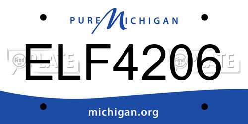 ELF4206 Michigan License Plate