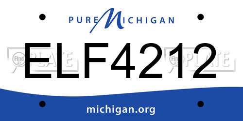 ELF4212 Michigan License Plate