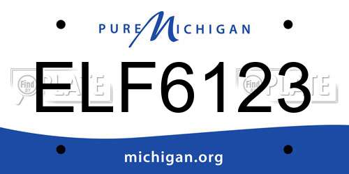 ELF6123 Michigan License Plate