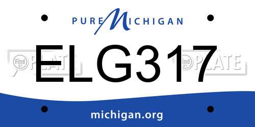 ELG317 Michigan License Plate