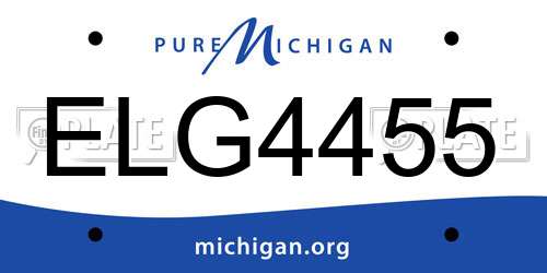 ELG4455 Michigan License Plate
