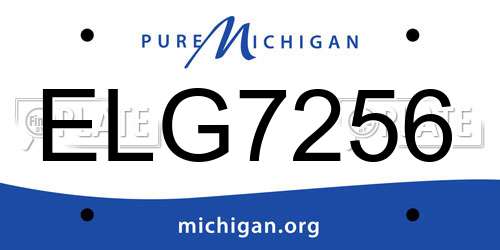ELG7256 Michigan License Plate