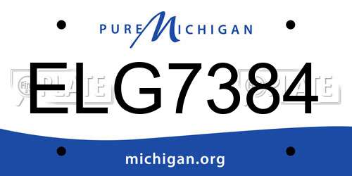 ELG7384 Michigan License Plate