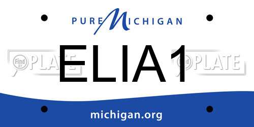 ELIA1 Michigan License Plate