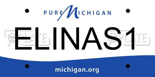 ELINAS1 Michigan License Plate