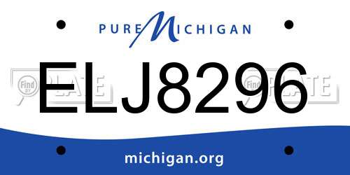ELJ8296 Michigan License Plate