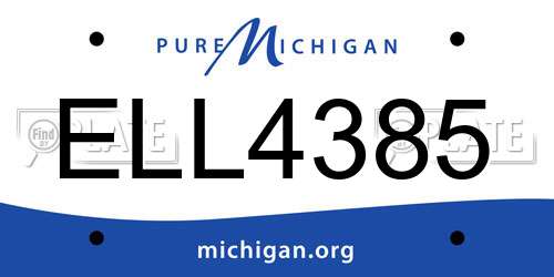 ELL4385 Michigan License Plate