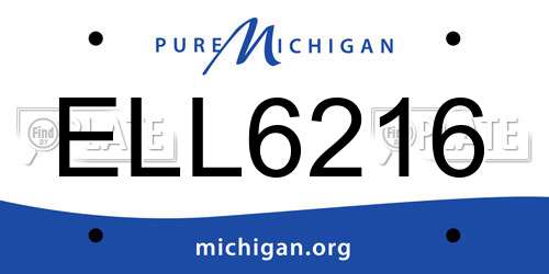 ELL6216 Michigan License Plate