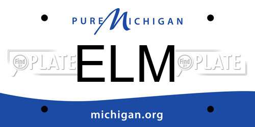 ELM Michigan License Plate
