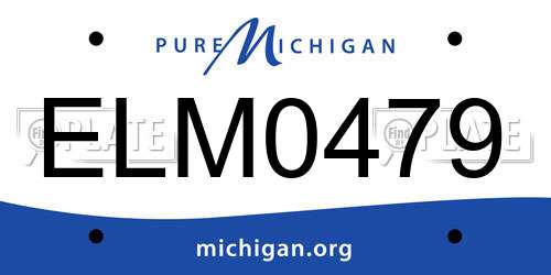ELM0479 Michigan License Plate