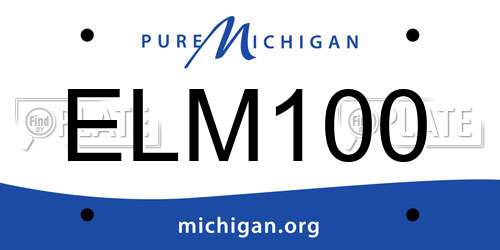 ELM100 Michigan License Plate