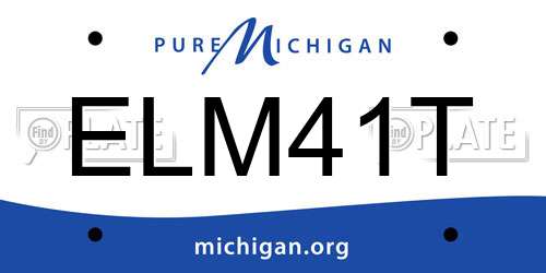 ELM41T Michigan License Plate