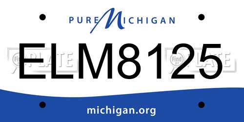 ELM8125 Michigan License Plate