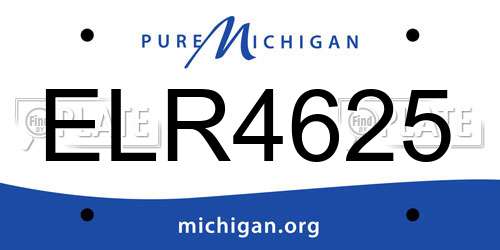 ELR4625 Michigan License Plate