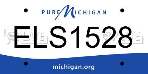 ELS1528 Michigan License Plate