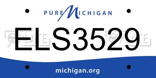 ELS3529 Michigan License Plate