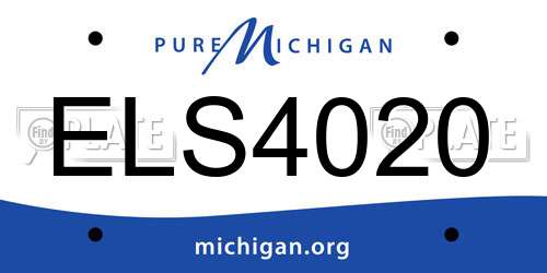 ELS4020 Michigan License Plate