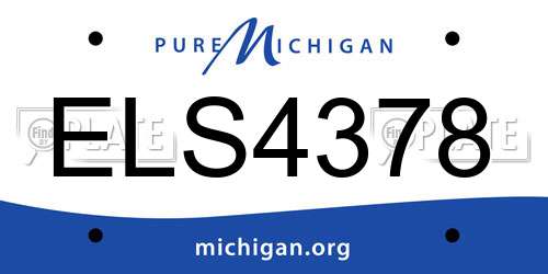 ELS4378 Michigan License Plate